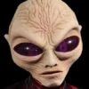 "Alien Grey" Mask -Halloween Props Shop alien grey halloween mask 28428593037360