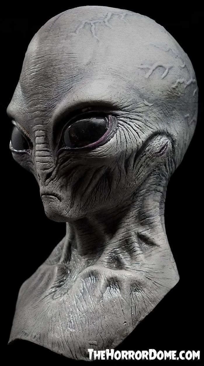"Area 51 Alien" Mask 4 "Area 51 Alien" Mask - Image 2