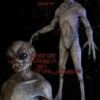 "Area 51 Intruder" Professional Alien Halloween Prop - 7 Foot Tall -Halloween Props Shop area 51 intruder professional alien halloween prop 7 foot tall 8179847681
