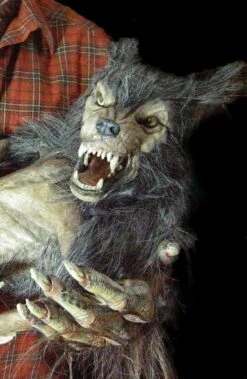 "Baby Werewolf Puppet" HD Studios Halloween Prop -Halloween Props Shop baby werewolf puppet hd studios halloween prop 14159829270576