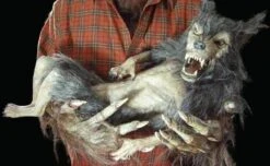 "Baby Werewolf Puppet" HD Studios Halloween Prop -Halloween Props Shop baby werewolf puppet hd studios halloween prop 8671039169