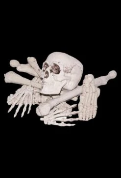 "Bag Of Bones" Halloween Prop