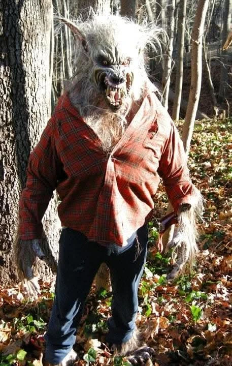"Big Bad Wolf" HD Studios Pro Costume 4 "Big Bad Wolf" HD Studios Pro Costume - Image 2