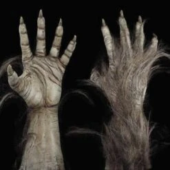 "Big Bad Wolf" HD Studios Pro Costume 18 "Big Bad Wolf" HD Studios Pro Costume -Halloween Props Shop big bad wolf hd studios pro werewolf halloween costume 28888194940976