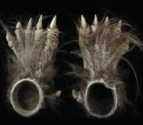 "Big Bad Wolf" HD Studios Pro Costume 11 "Big Bad Wolf" HD Studios Pro Costume - Image 9