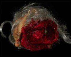 "Big Mouth Severed Head" HD Studios Bloody Halloween Prop 10 "Big Mouth Severed Head" HD Studios Bloody Halloween Prop -Halloween Props Shop big mouth severed head hd studios bloody halloween prop 8671217409