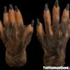 Brown Wolfman Hands - HD Studios -Halloween Props Shop brown wolfman hands hd studios 28867819372592