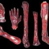 "Burnt Body Parts" Gory Halloween Props - Package Deal -Halloween Props Shop burnt body parts gory halloween props package deal 3762053054512