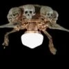 "Ceiling Fan With Skeleton Arms, Skulls, And Light" Haunted House Lighting -Halloween Props Shop ceiling fan with skeleton arms skulls and light haunted house lighting 14370661826608