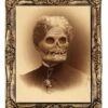 "Changing Portrait - Aunt Hazel" Halloween Decoration -Halloween Props Shop changing portrait aunt hazel halloween decoration 3788554928176