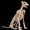 Doberman Skeleton Dog Skeleton Halloween Prop -Halloween Props Shop doberman skeleton dog skeleton halloween prop 30408654946352