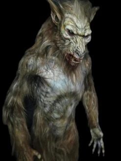 "Dog Soldier" Costume