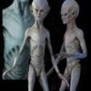 "EBE Extraterrestrial Biological Entity" Professional Alien Prop -Halloween Props Shop ebe extraterrestrial biological entity professional alien prop 8180009729