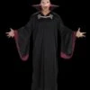 "Evil Vampire" Costume (Adult Size) -Halloween Props Shop evil vampire value halloween costume adult size 14203804581936