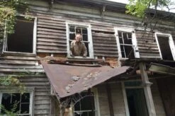 "Flesh Ripper Demon" HD Studios Pro Halloween Mask -Halloween Props Shop flesh ripper demon hd studios pro halloween mask 28756307902512