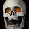 Giant Skull -Halloween Props Shop giant skull 28427998724144