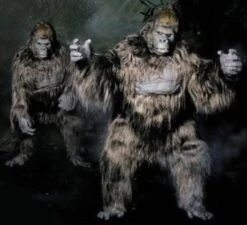 "Gorilla" Pro Quality Costume