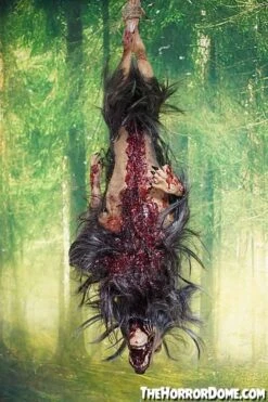 Gutted Baby Werewolf Hanging Prop -Halloween Props Shop gutted baby werewolf hanging prop 15068684058672
