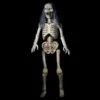 "Hairy Scary Skeleton" Graveyard Prop -Halloween Props Shop hairy scary skeleton graveyard prop 28755633045552