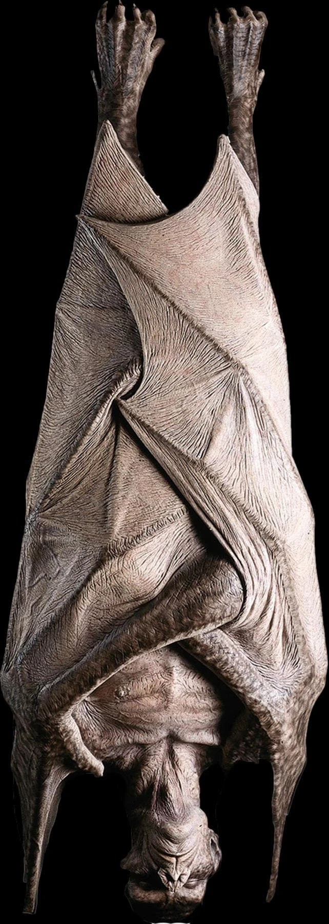 "Hanging Vampire" Monster Halloween Prop 3 "Hanging Vampire" Monster Halloween Prop