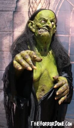 "Helga The Witch" HD Studios Pro Costume -Halloween Props Shop helga the witch hd studios pro halloween costume 12382253441