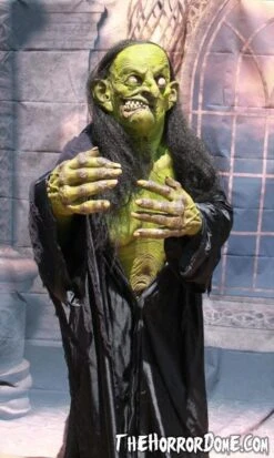 "Helga The Witch" HD Studios Pro Costume -Halloween Props Shop helga the witch hd studios pro halloween costume 12382259201