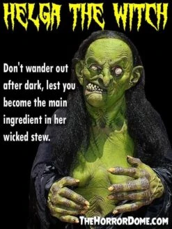 "Helga The Witch" HD Studios Pro Costume -Halloween Props Shop helga the witch hd studios pro halloween costume 14327608213552