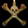 "Humerus Bone Wall Sconce With 3 Inch Skull" Haunted House Lighting -Halloween Props Shop humerus bone wall sconce with 3 inch skull haunted house lighting 14357476671536