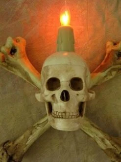 "Humerus Bone Wall Sconce With 3 Inch Skull" Haunted House Lighting -Halloween Props Shop humerus bone wall sconce with 3 inch skull haunted house lighting 23613182977