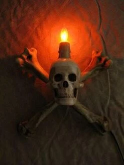 "Humerus Bone Wall Sconce With 3 Inch Skull" Haunted House Lighting -Halloween Props Shop humerus bone wall sconce with 3 inch skull haunted house lighting 23613184193