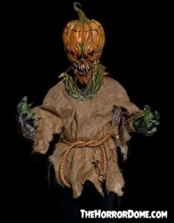 "Jack O'Lantern" HD Studios Costume