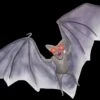 "Light Up Demon Bat" Halloween Animal Prop 1 "Light Up Demon Bat" Halloween Animal Prop -Halloween Props Shop light up demon bat halloween animal prop 14325922594864