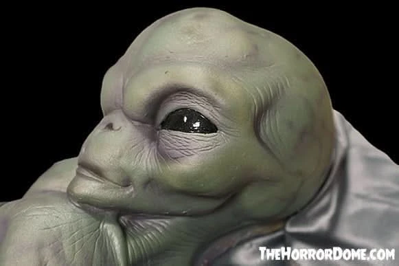 "Roswell Alien Baby Crash Victim" HD Exclusive Halloween Decoration 4 "Roswell Alien Baby Crash Victim" HD Exclusive Halloween Decoration - Image 2