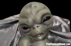 "Roswell Alien Baby Crash Victim" HD Exclusive Halloween Decoration 9 "Roswell Alien Baby Crash Victim" HD Exclusive Halloween Decoration -Halloween Props Shop new for 2022 roswell alien baby crash victim hd exclusive halloween decoration 30106369982512
