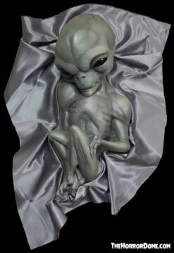 "Roswell Alien Baby Crash Victim" HD Exclusive Halloween Decoration 10 "Roswell Alien Baby Crash Victim" HD Exclusive Halloween Decoration -Halloween Props Shop new for 2022 roswell alien baby crash victim hd exclusive halloween decoration 30106370048048