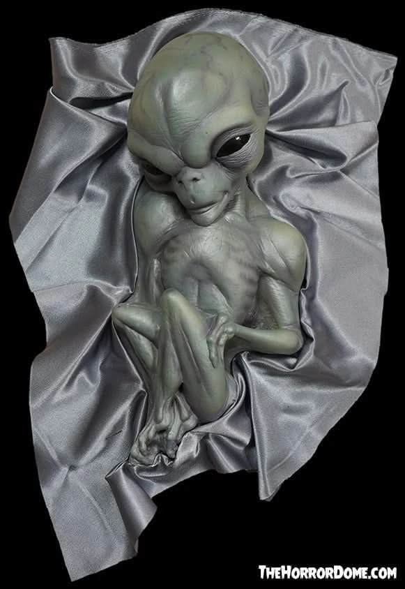 "Roswell Alien Baby Crash Victim" HD Exclusive Halloween Decoration 6 "Roswell Alien Baby Crash Victim" HD Exclusive Halloween Decoration - Image 4