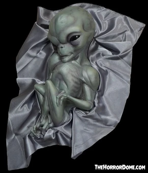 "Roswell Alien Baby Crash Victim" HD Exclusive Halloween Decoration 3 "Roswell Alien Baby Crash Victim" HD Exclusive Halloween Decoration