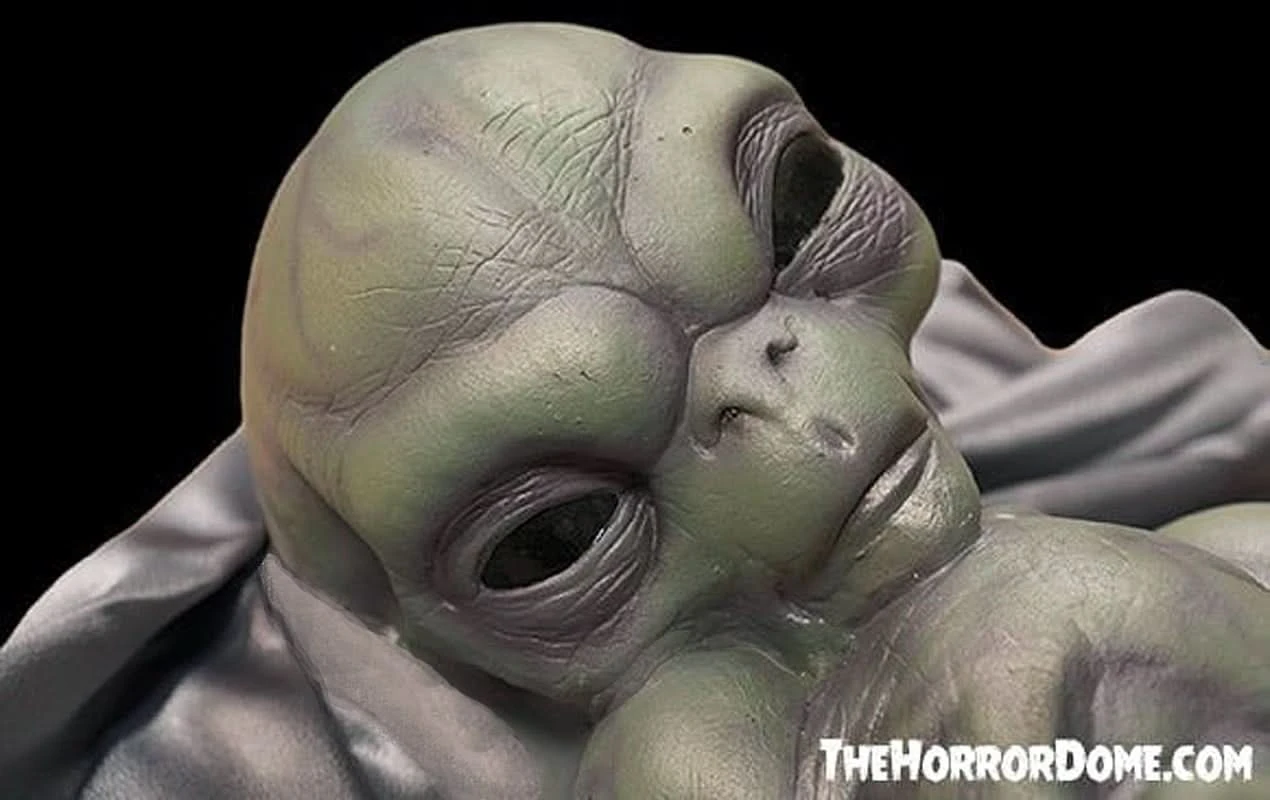 "Roswell Alien Baby Crash Victim" HD Exclusive Halloween Decoration 7 "Roswell Alien Baby Crash Victim" HD Exclusive Halloween Decoration - Image 5