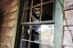 "Night Drifter" HD Studios Pro Mask 12 "Night Drifter" HD Studios Pro Mask -Halloween Props Shop night drifter hd studios pro halloween mask 28425517662256