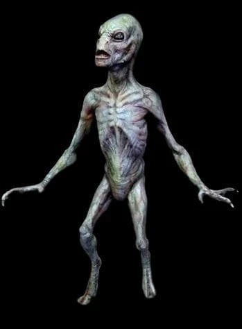 "Reptilian Alien" Professional Halloween Prop - 3 Foot 3 "Reptilian Alien" Professional Halloween Prop - 3 Foot