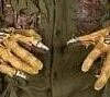 "Rotted Jason Hands" Halloween Costume Gloves -Halloween Props Shop rotted jason hands halloween costume gloves 8179455681