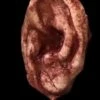 "Severed Ear" Halloween Prop -Halloween Props Shop severed ear halloween prop 14528013893680