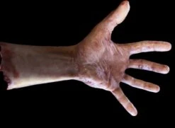 "Severed Male Arm Silicone Human Body Part Halloween Prop -Halloween Props Shop severed male arm with silicone human body part halloween prop 31359279300656