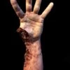 "Shark Bite Silicone Arm" Bloody Body Part Prop -Halloween Props Shop shark bite silicone arm bloody body part prop 11944225013808