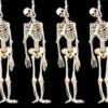 "Skeleton Halloween Props" - 6x Package Deal -Halloween Props Shop skeleton halloween props 6x package deal 28664460345392