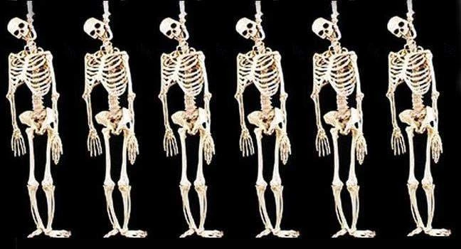 "Skeleton Halloween Props" - 6x Package Deal 3 "Skeleton Halloween Props" - 6x Package Deal