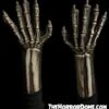 "Skeleton" HD Studios Comfort Fit Hands -Halloween Props Shop skeleton hd studios comfort fit hands 12175987769392