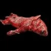"Skinned Zombie Dog" Bloody Animal Prop