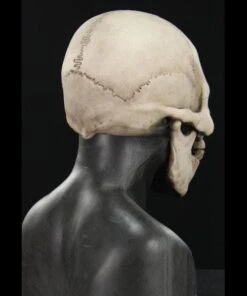 "Skull Hood" Silicone Mask -Halloween Props Shop skull hood silicone halloween mask 20360422977