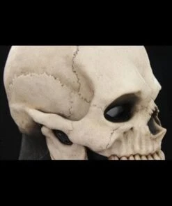 "Skull Hood" Silicone Mask -Halloween Props Shop skull hood silicone halloween mask 20360423169